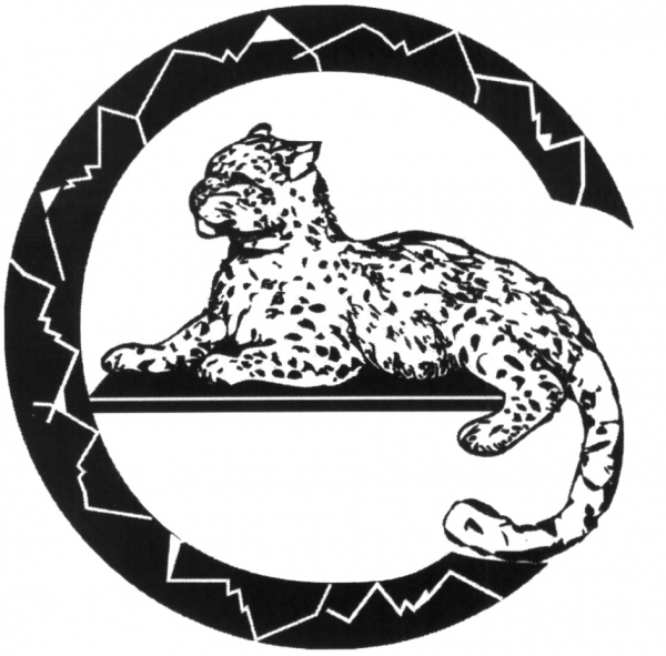 Логотип компании Автомойка "Барс"